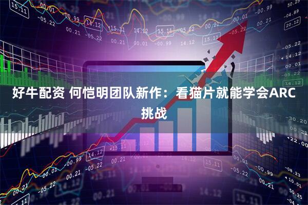好牛配资 何恺明团队新作：看猫片就能学会ARC挑战