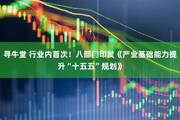 寻牛堂 行业内首次！八部门印发《产业基础能力提升“十五五”规划》