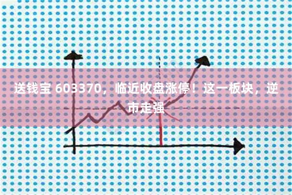 送钱宝 603370，临近收盘涨停！这一板块，逆市走强